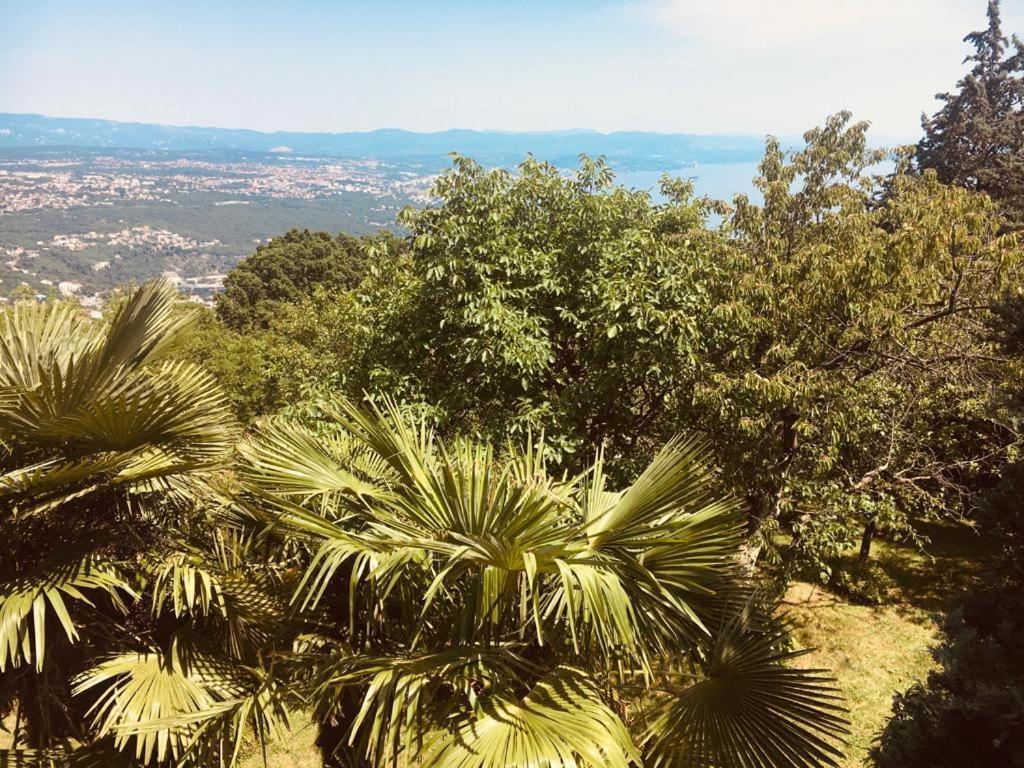 Luxury Apartment With Private Pool And 2 Bedrooms In Villa Opatija Bay View Exterior foto